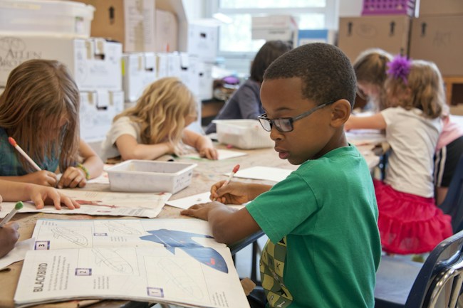 Illustration: Library